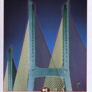 Elementary Linear Algebra_Anton, Rorres Howard Anton & Chris Rorres_8th Ed