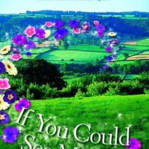 If You could See Me Now_Cecelia Ahern (Original)