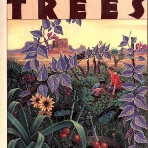 The Bean Trees_Barbara Kingsolver (Economy)