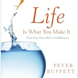 Life is What You Make it_Peter Buffett (Economy)