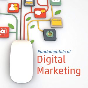 Fundamentals of Digital Marketing_Puneet Singh Bhatia (Economy)