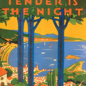 Tender Is The Night_F. Scott Fitzgerald (Economy)