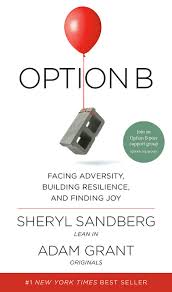OPTIONES : Faring Adversity, Budding Resilience, and finding (Premium Quality)