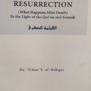 THE MINOR RESURRECTION