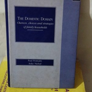 THE DOMESTIC DOMAIN Chances, choices and strategies of family households