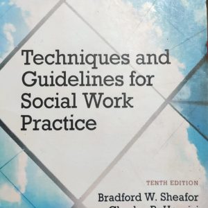 Techniques and Guidelines for Social Work Practice