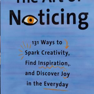 The Art of Noticing