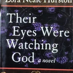 Their Eyes Were Watching God a novel