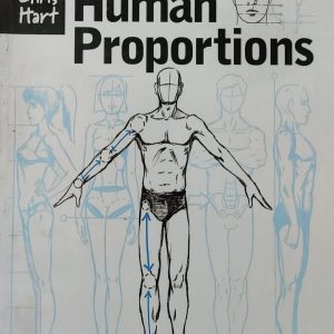 Figure It Out! Human Proportions