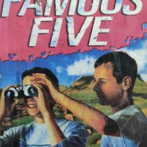 Five Have a Wonderful Time