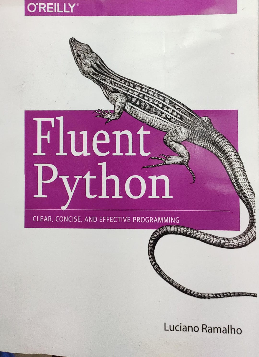 Fluent Python – মালঞ্চ বুক সেন্টার