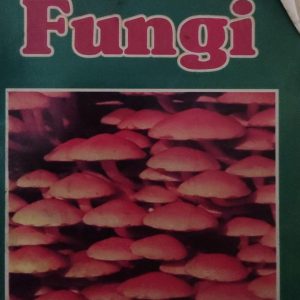The Fungi