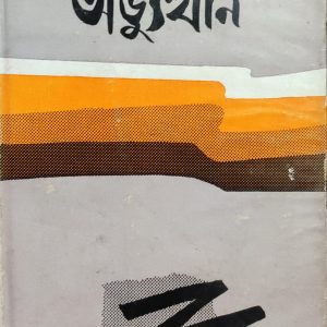 নব্বুই এর অভ্যুত্থান