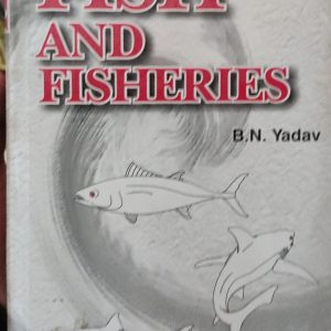 FISH AND FISHERIES