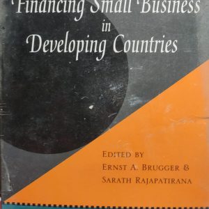 New Perspectives on Financing Small Business in Developing Countries