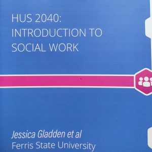 HUS 2040 INTRODUCTION TO SOCIAL WORK
