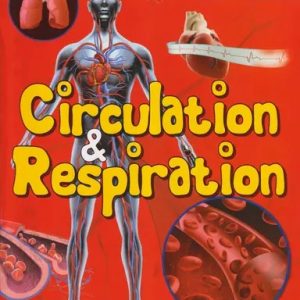 Circulation & Respiration- Human Body Facts (পেপারব্যাক)