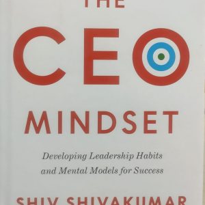 THE CEO MINDSET