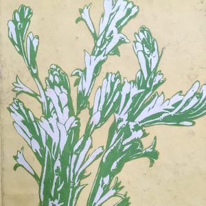 বিষয়: আবৃত্তি (91R)